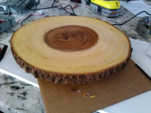 The wooden burl base of the tree
