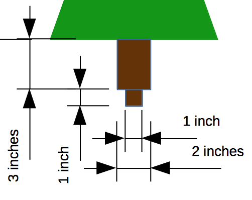 Details of the dimensions of the trunk